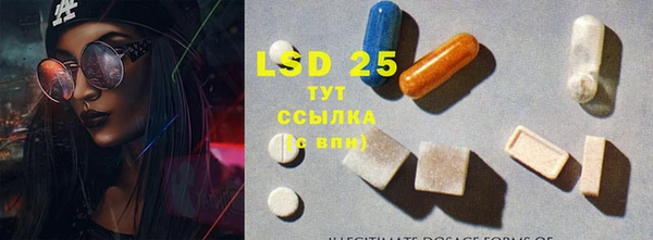 тгк Аркадак