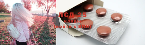 тгк Аркадак