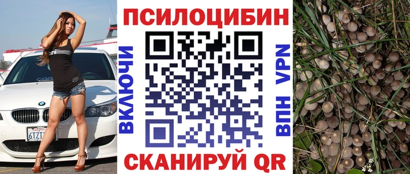 Галлюциногенные грибы Cubensis купить цена Бузулук